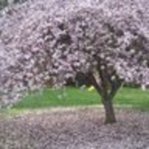 Meet your Posher, Lindsay